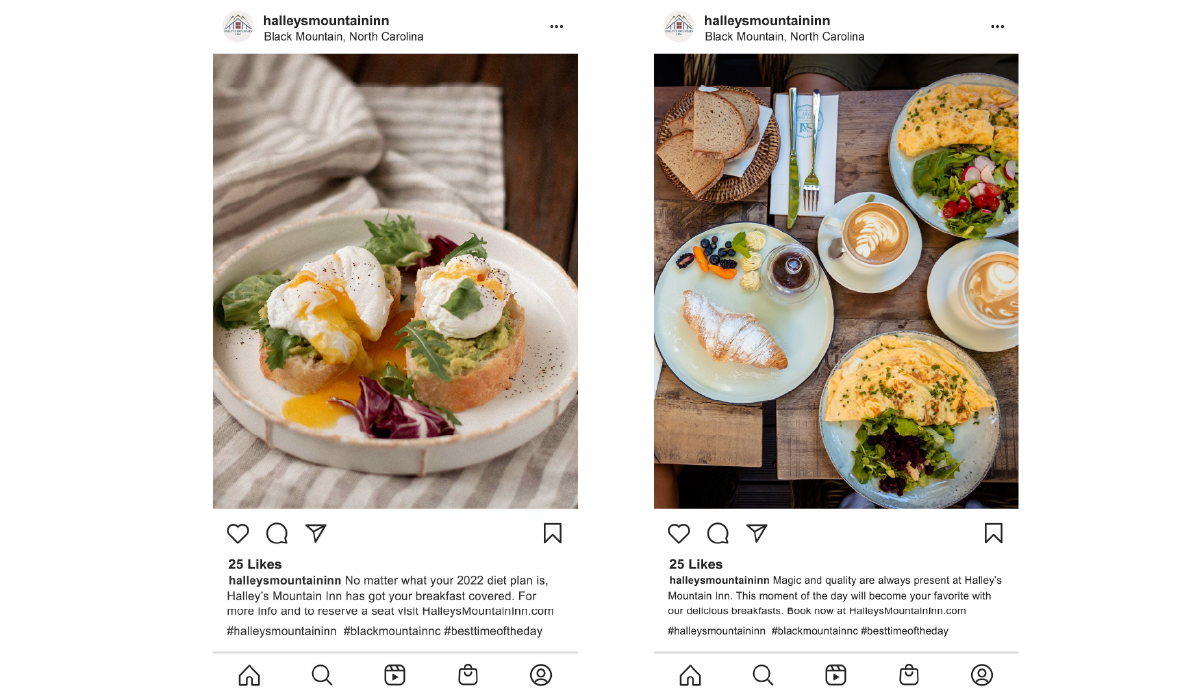 pattern design for halley's mountain inn brand