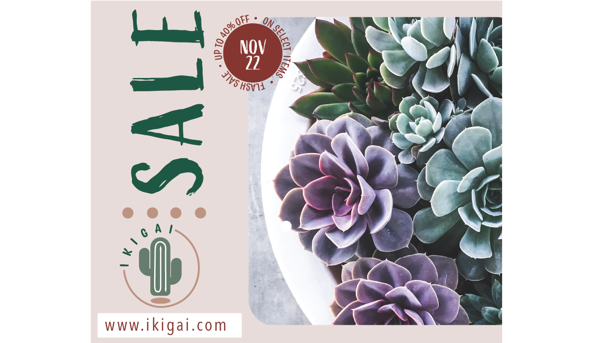 Banner ad with image of cactus and logo and word sale written