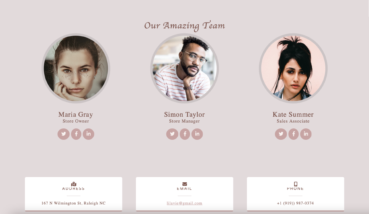 Three circles with images of people 2 woman and a man, below them are links to their social media and job title. 